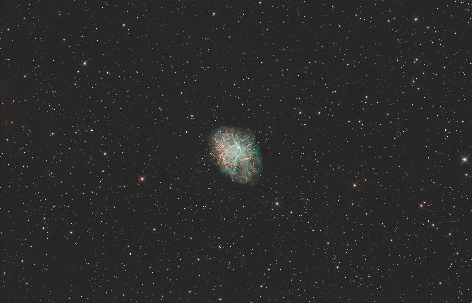 Dolphin Head Nebula
