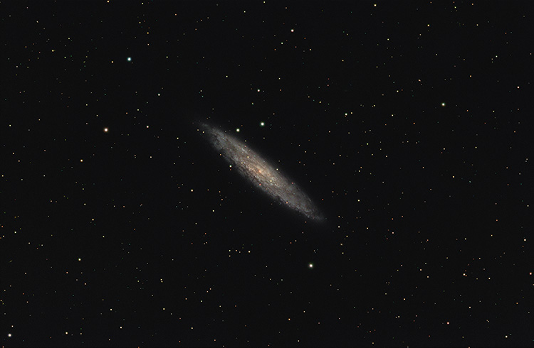 NGC253