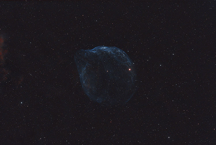 Dolphin Head Nebula