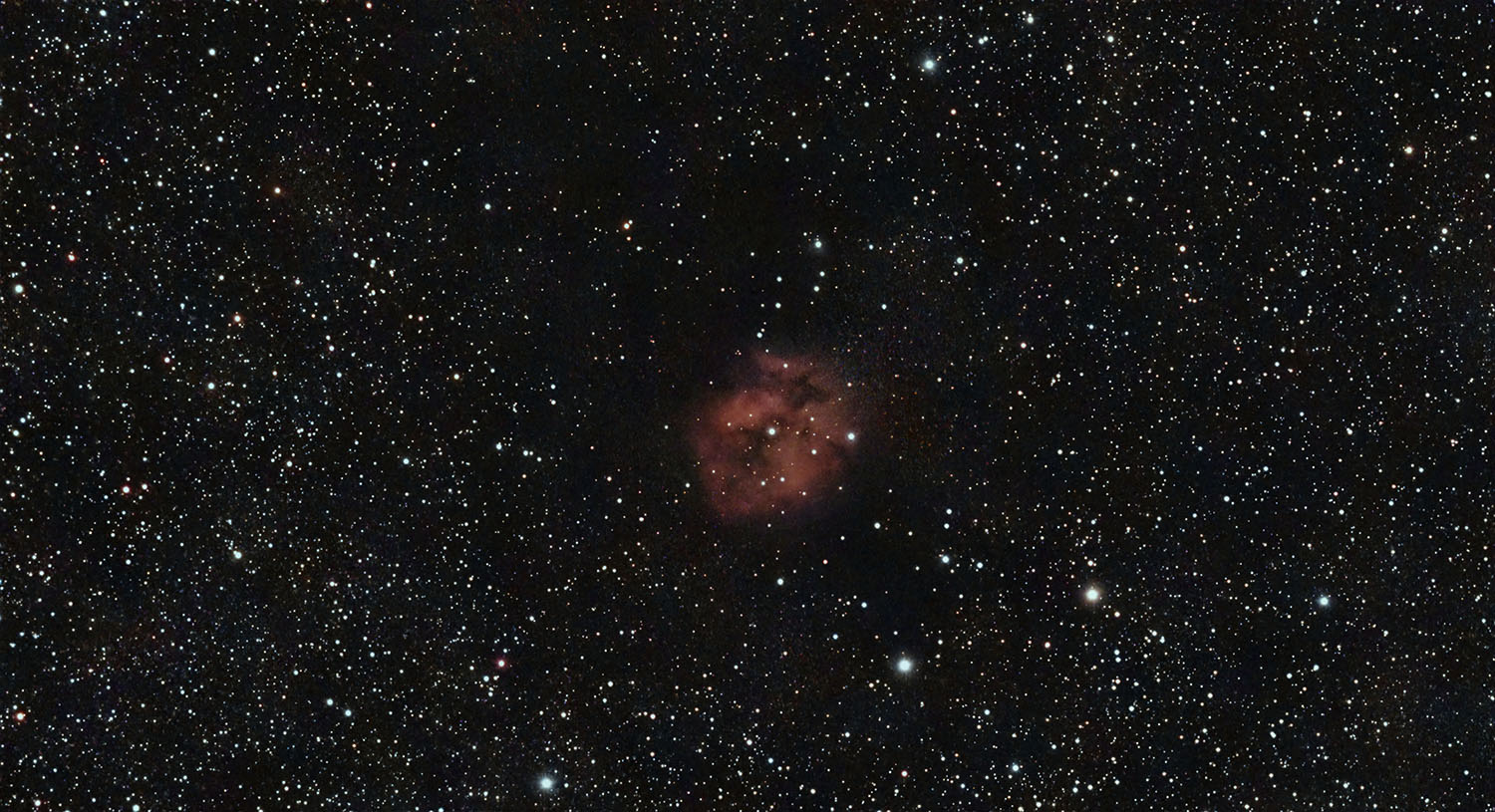 IC5146